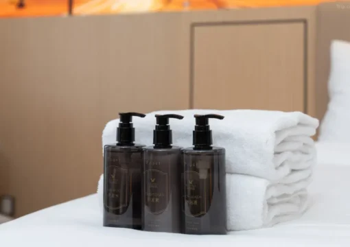 Executive Queen Room (65 Inch Projection Screen TV+smart Bathroom+small Refrigerator)