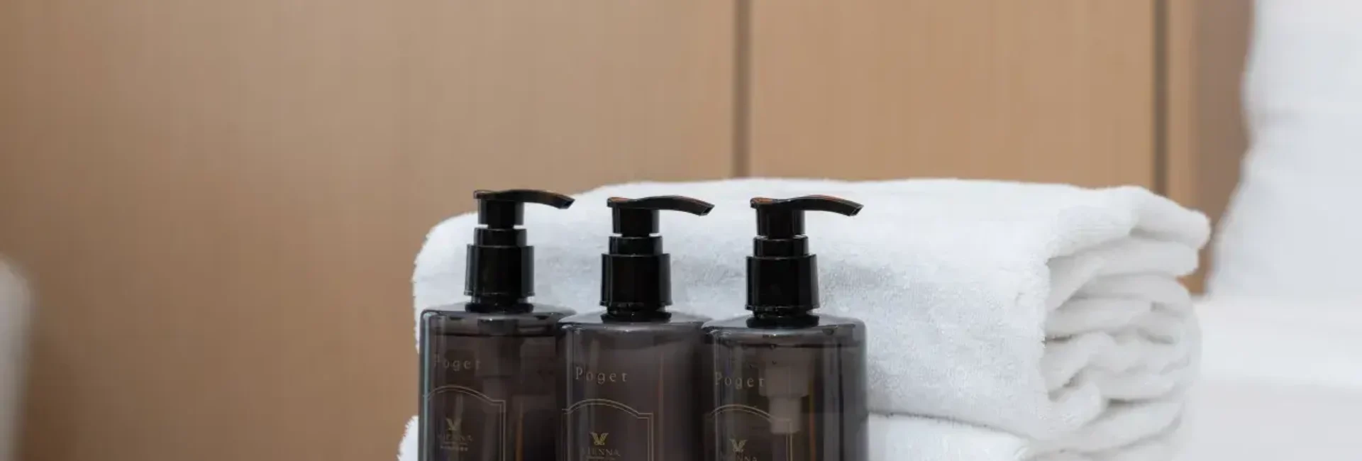 Superior 2-bed Room (65 Inch Projection Screen TV+small Refrigerator)