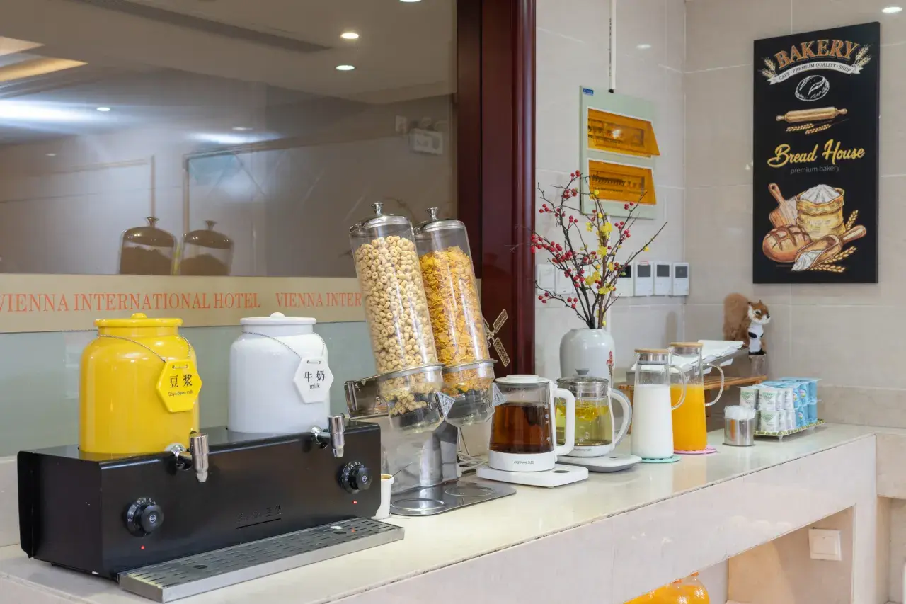 Vienna International Hotel (4)