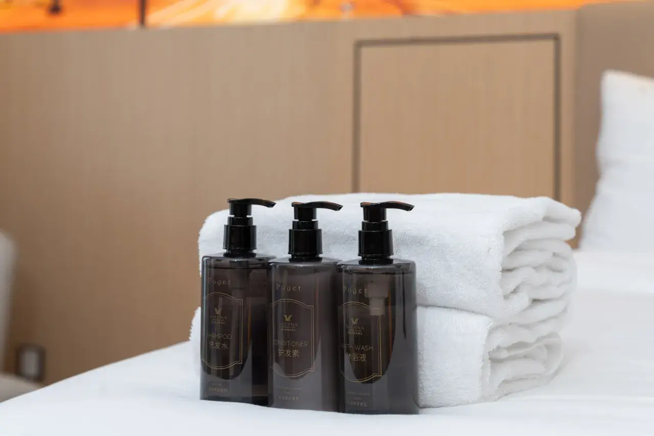 Vienna International Hotel (44)